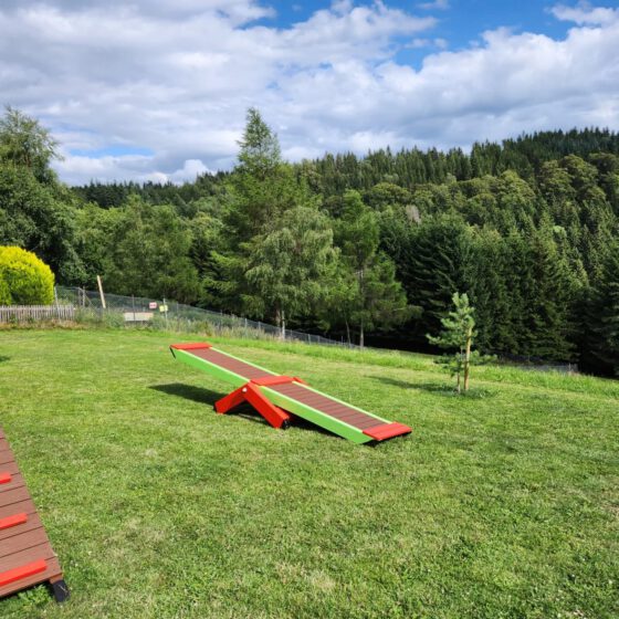 Degility Trendsport für Hund und Halter Landhaus Schlossberg